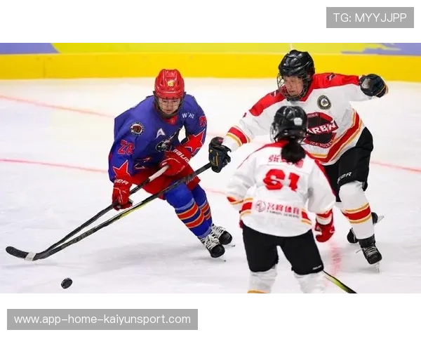 冰球门将与后防合作创造零封神话