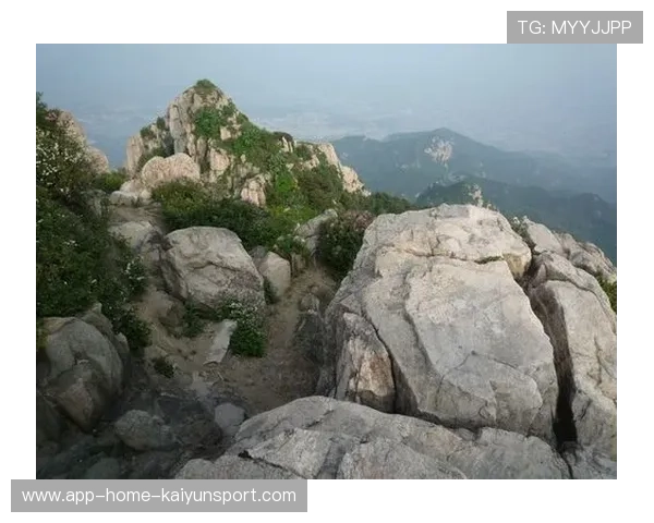 山东泰山外线推进力量显著提升